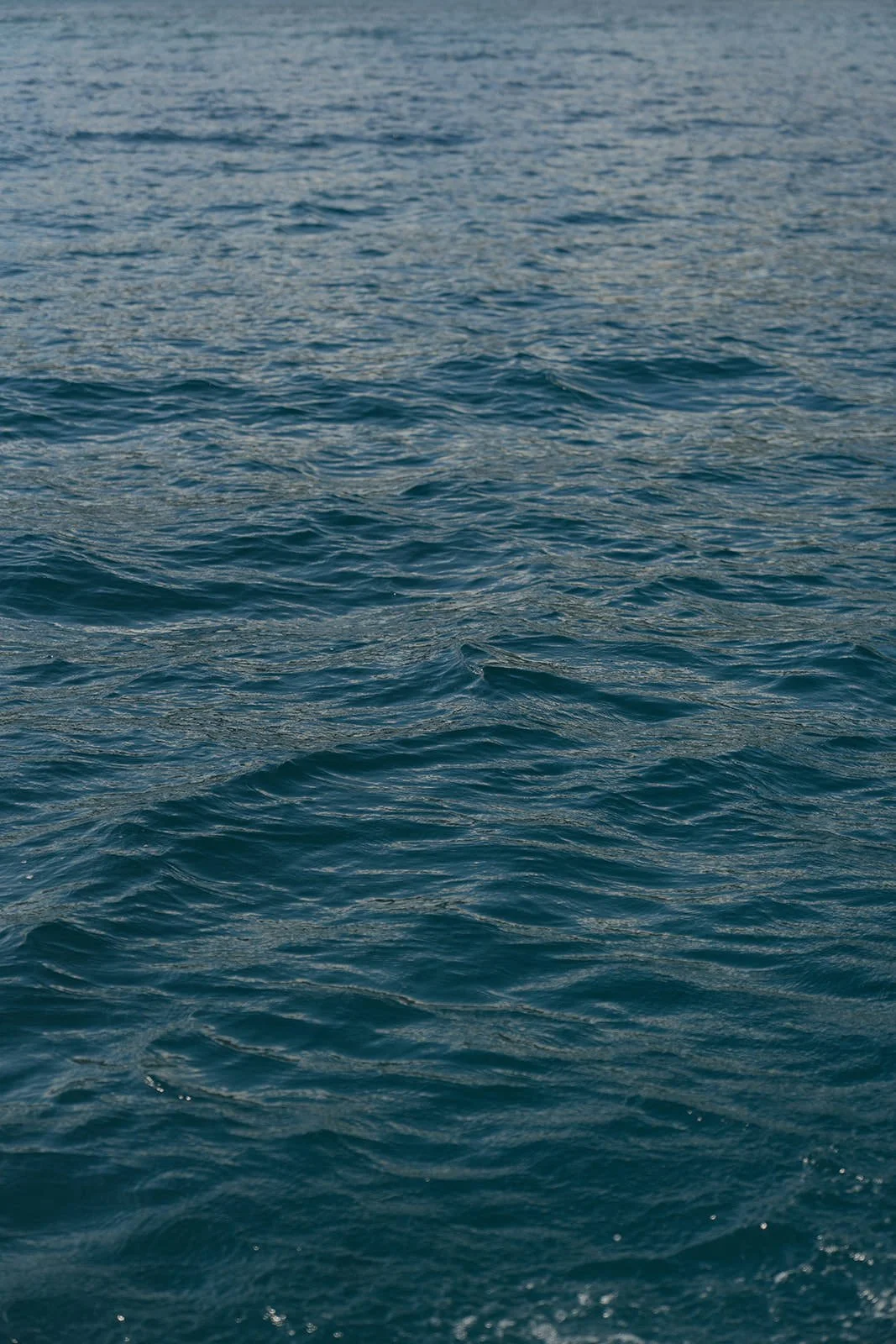 Close-up of deep blue rippling water beside the catamaran during the wedding weekend sailing excursion in St. Lucia