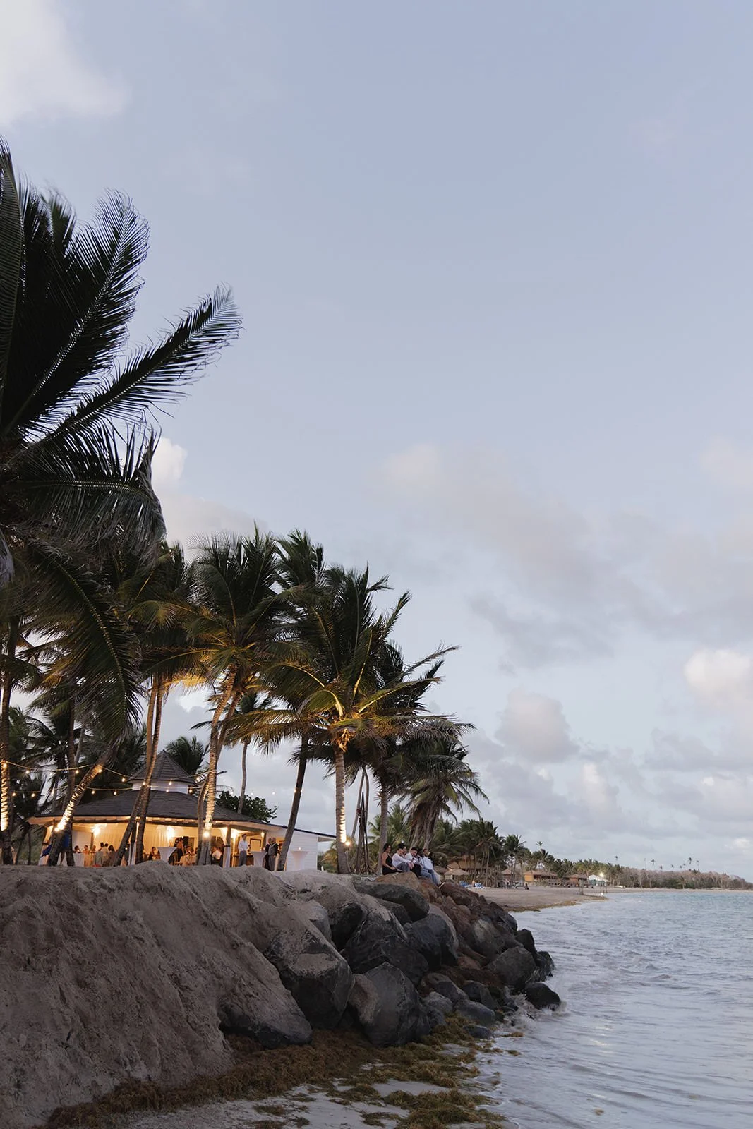 Coastal view of palm trees leaning over the shore at dusk near the St. Lucia wedding venue