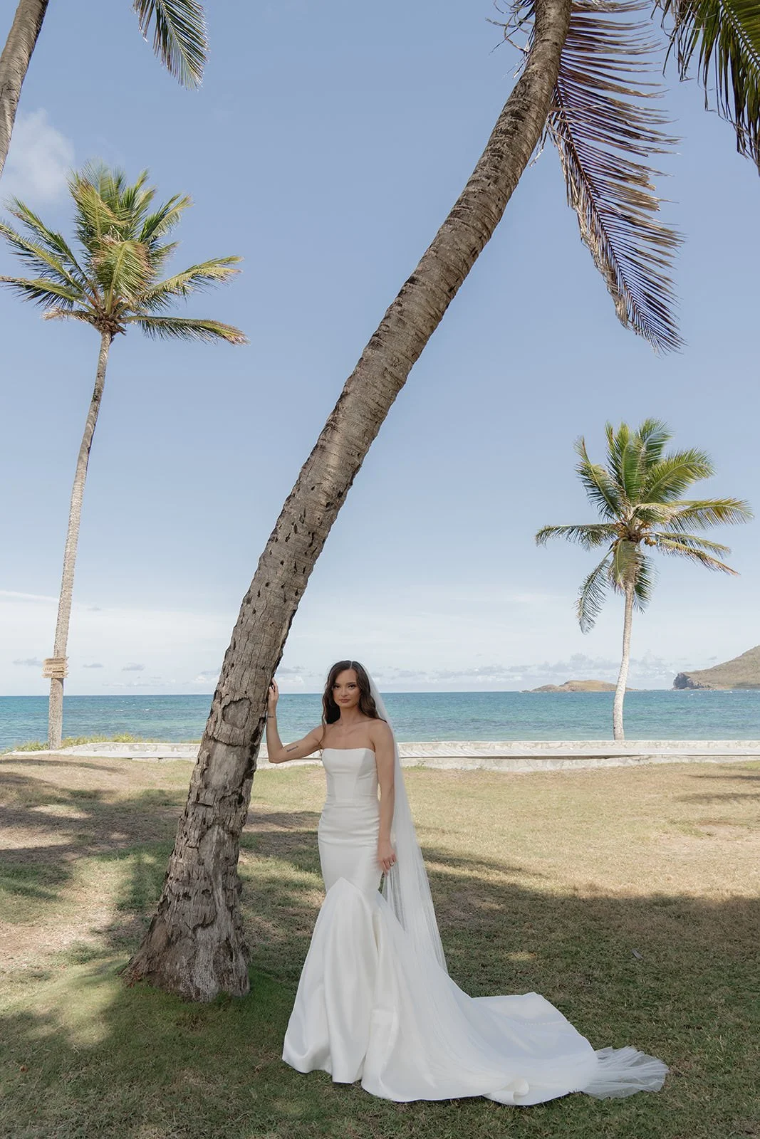 Bride in a strapless wedding gown standing beneath a tall, curved palm tree on a St. Lucia beach