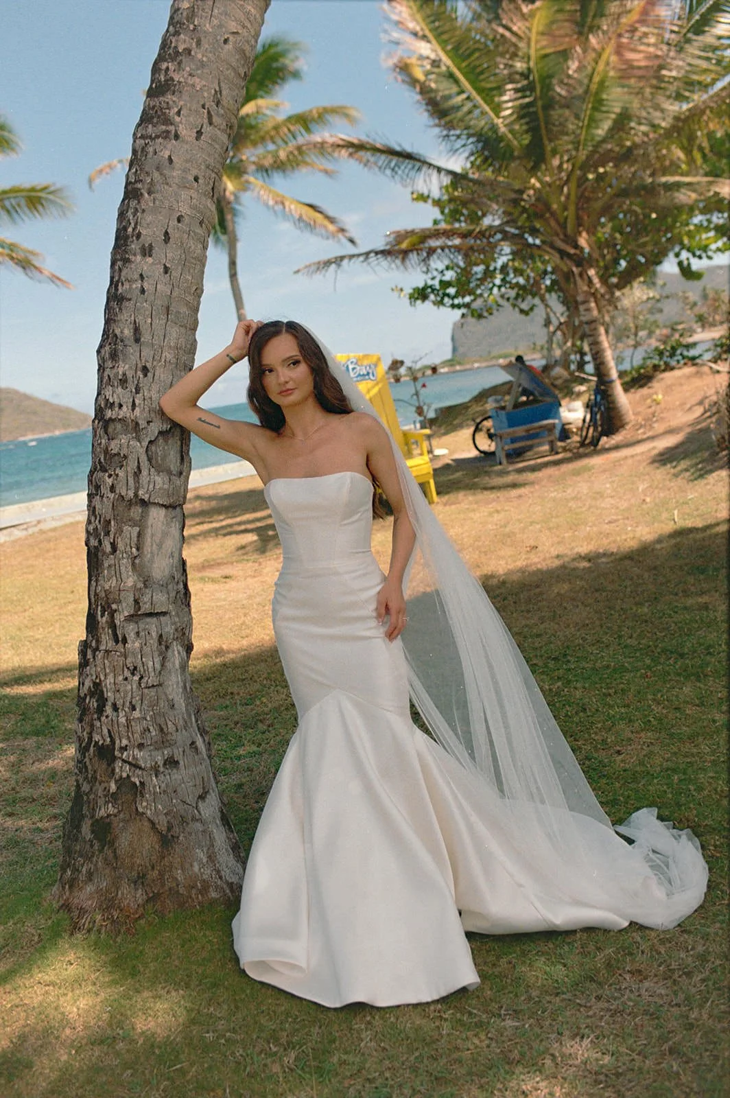 Bride in a strapless gown leaning against a palm tree with a hillside beach view in the background in St. Lucia