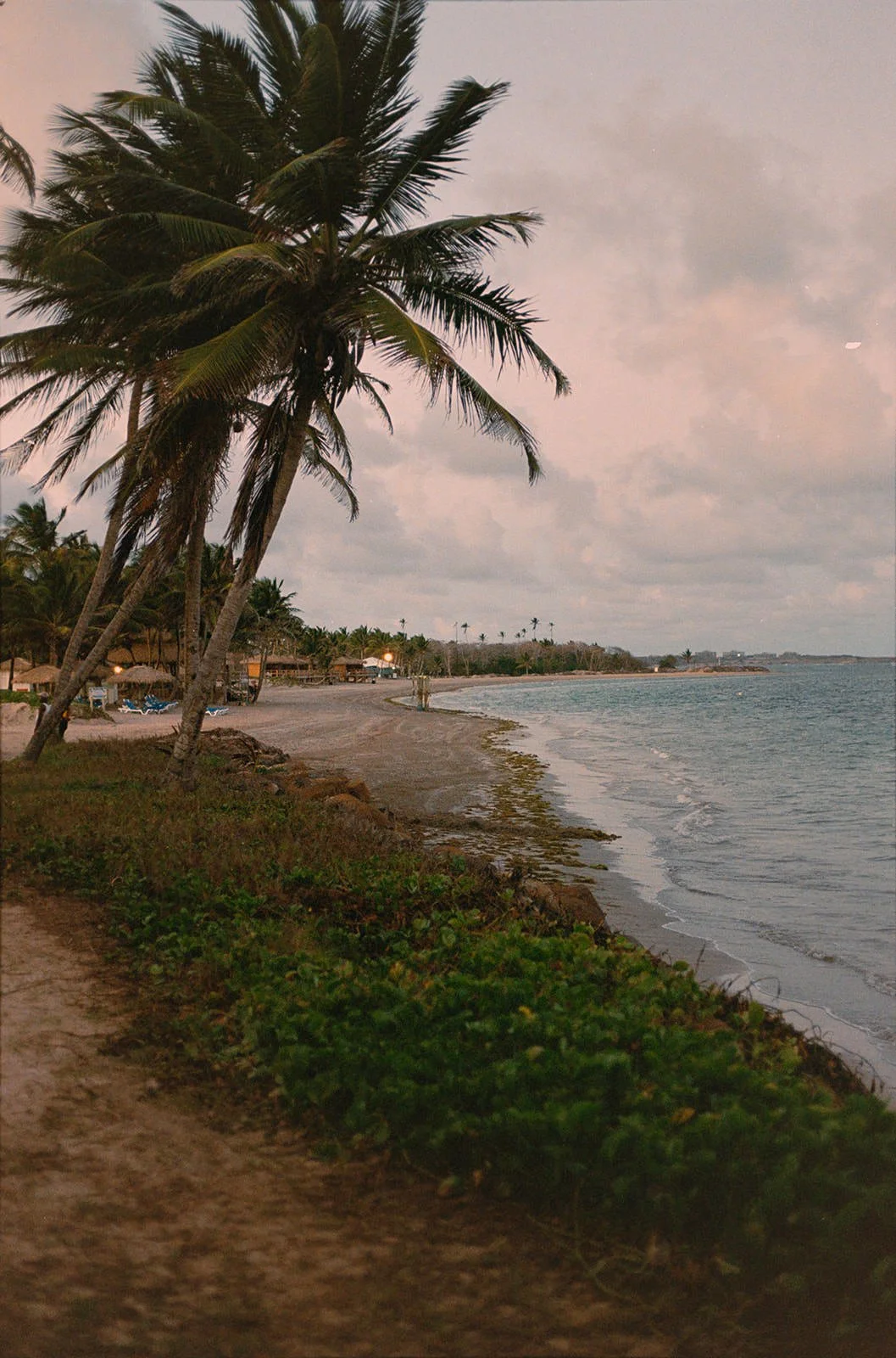 Scenic sunset view of palm trees lining the St. Lucia coastline