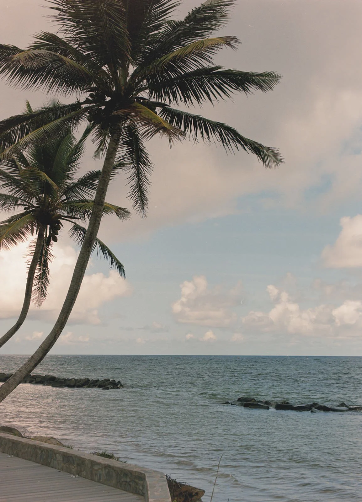 St Lucia Wedding - Michelle Gonzalez Photography - Majestic and Marshall-1564.jpg