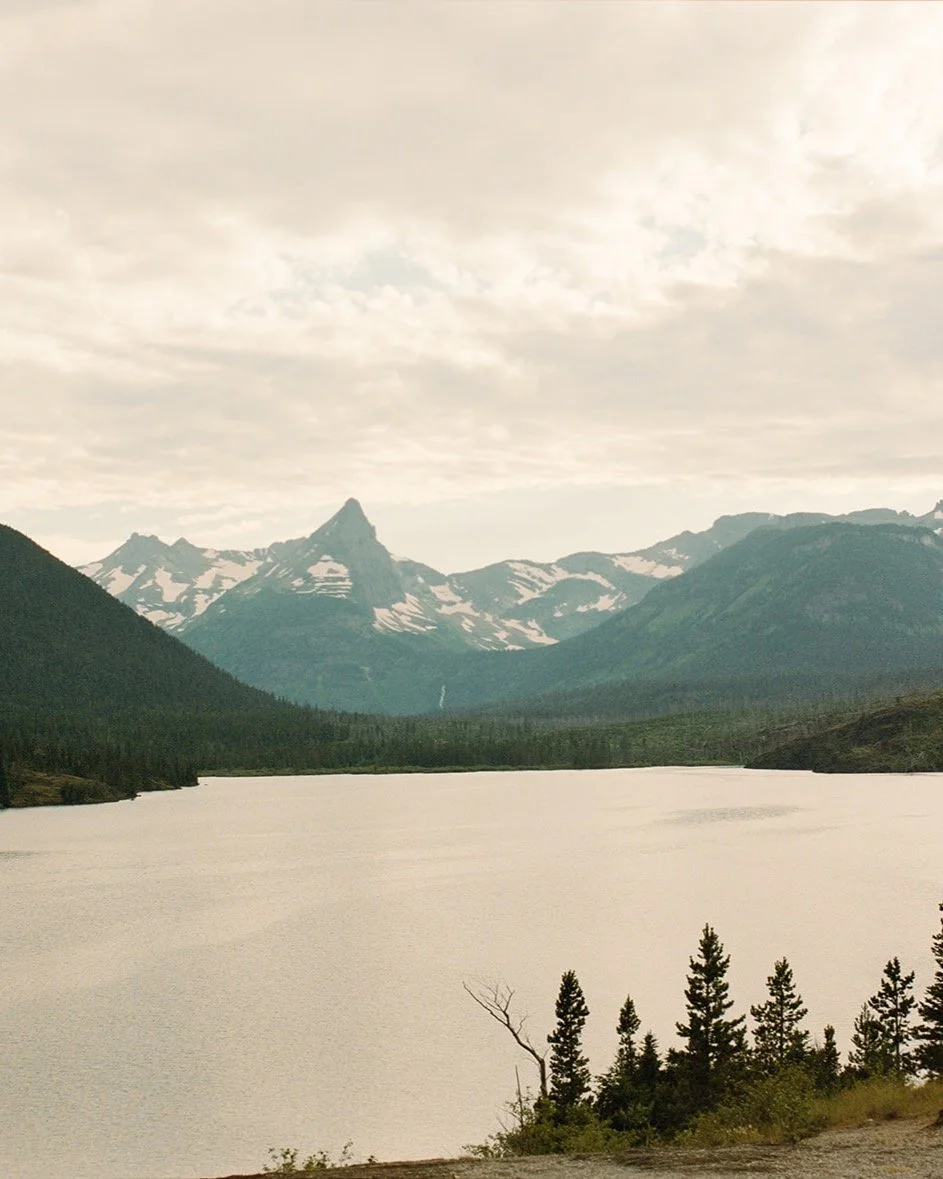 Bailey and Taylor's wedding at Stay Treetops in Glacier National Park. Stunning mountain views as far as the eyes could see. Though my favorite view were the mountain goats! #glaciernationalparkwedding #montanawedding