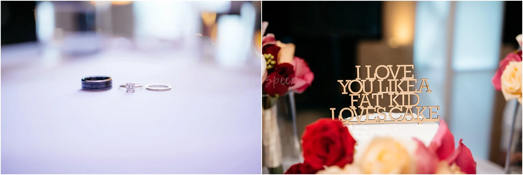 Indianapolis-Wedding-Photographer_0660.jpg