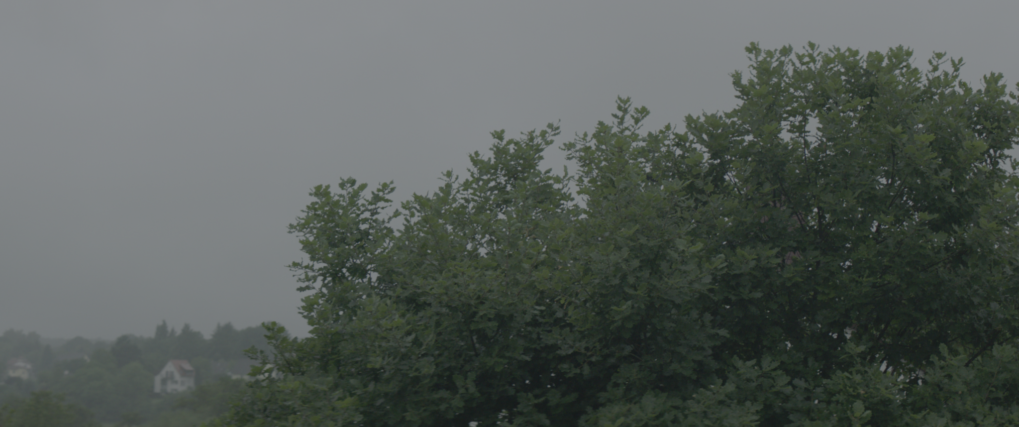 vlcsnap-2019-07-21-13h35m28s033.png