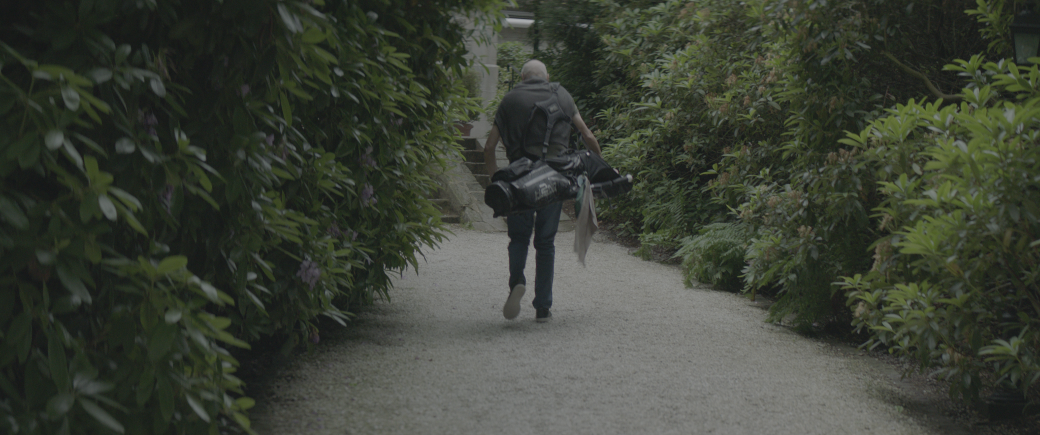 vlcsnap-2019-07-21-13h41m01s201.png