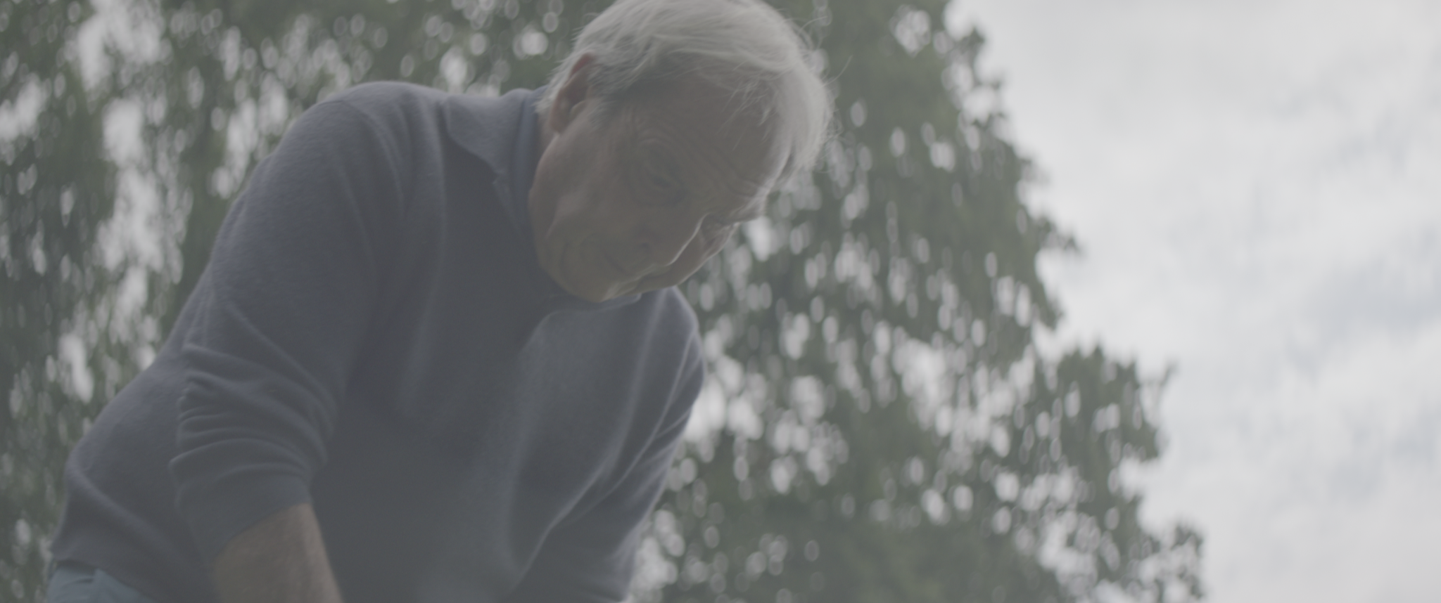 vlcsnap-2019-07-21-13h45m30s880.png