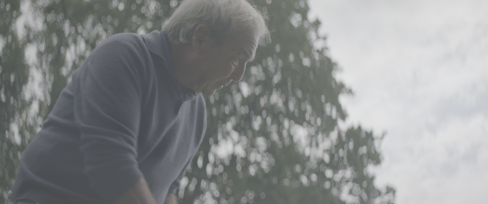vlcsnap-2019-07-21-13h45m35s252.png