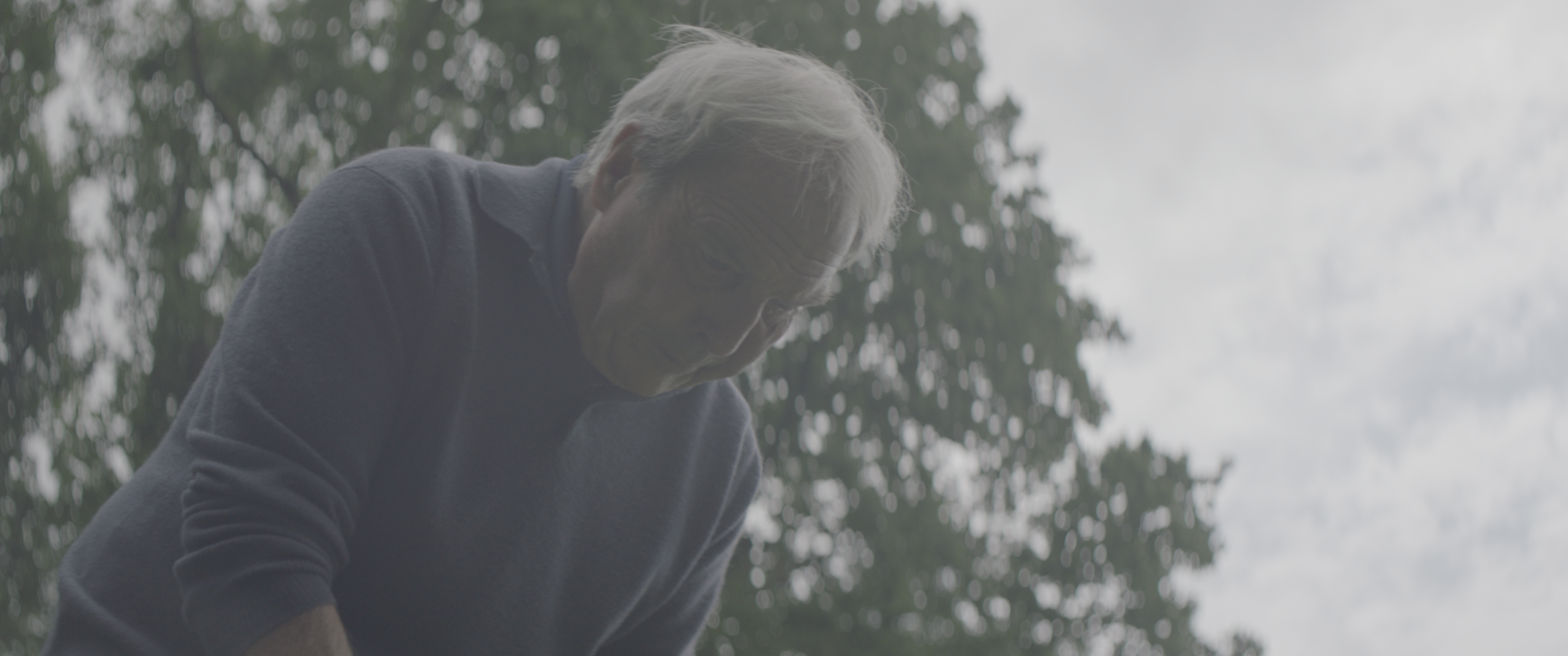 vlcsnap-2019-07-21-13h47m39s720.png