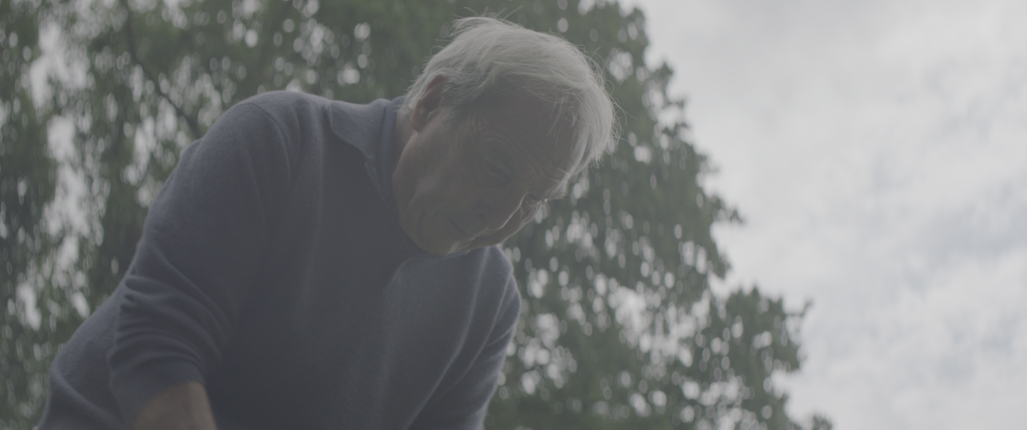 vlcsnap-2019-07-21-13h48m05s793.png