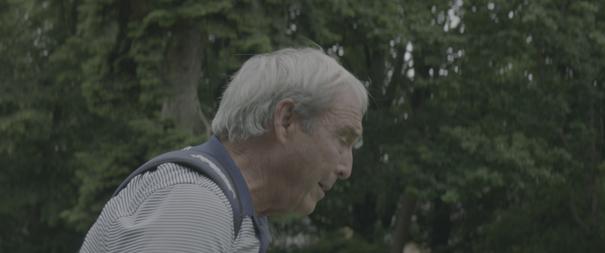 vlcsnap-2019-07-21-13h54m47s500.png