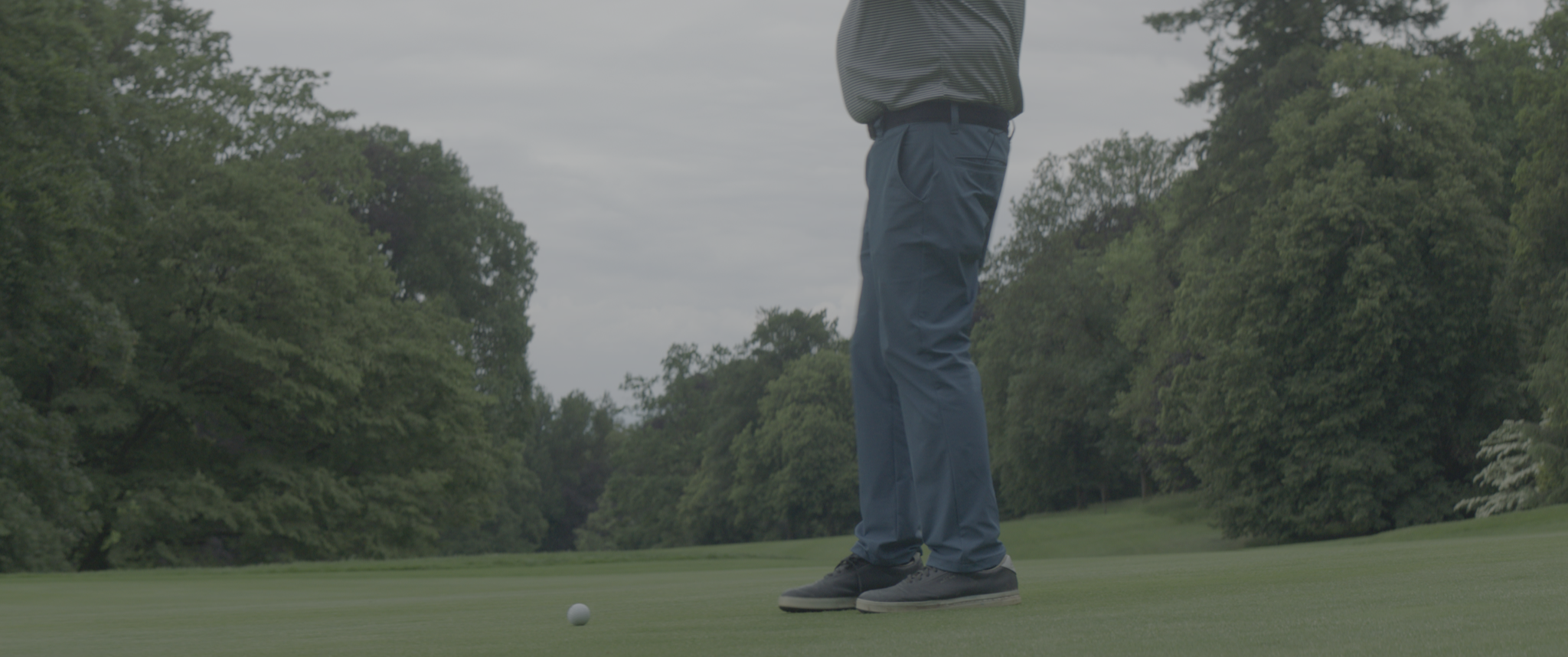 vlcsnap-2019-07-21-13h55m08s641.png
