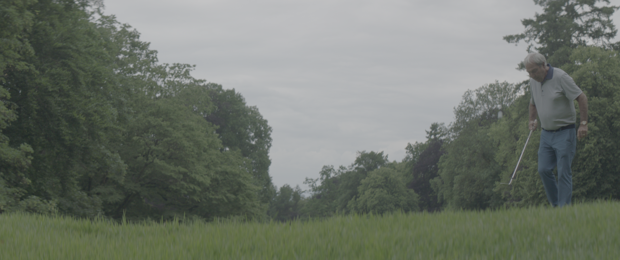 vlcsnap-2019-07-21-13h56m31s014.png