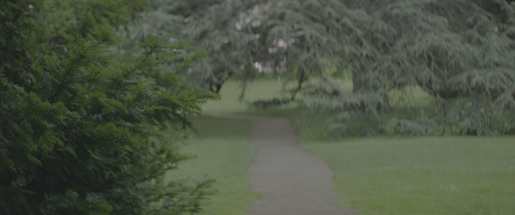 vlcsnap-2019-07-21-14h02m51s341.png