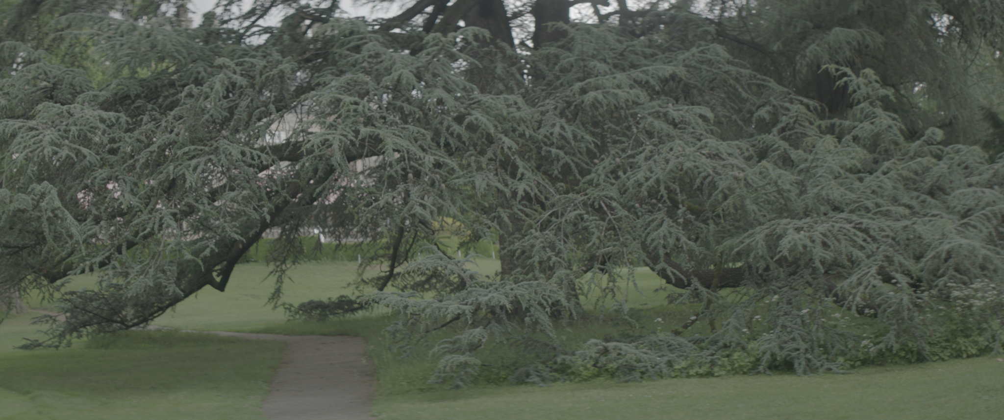 vlcsnap-2019-07-21-14h02m58s405.png