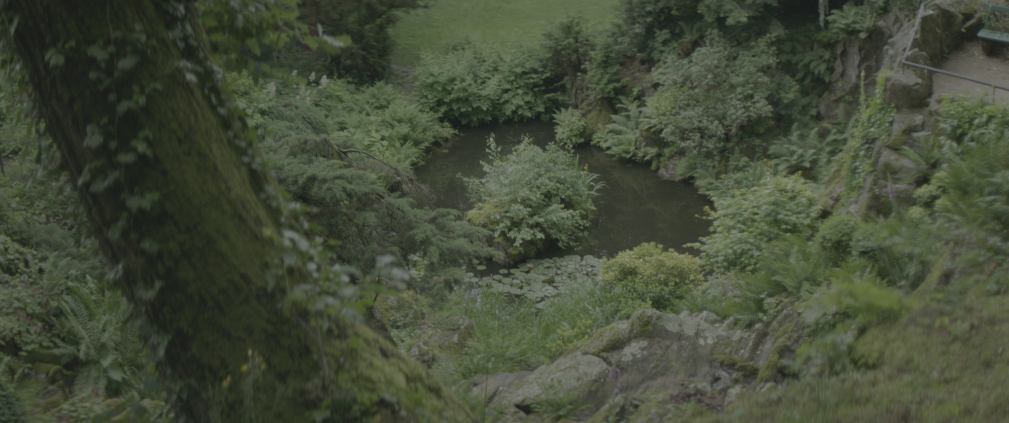 vlcsnap-2019-07-21-14h03m13s445.png