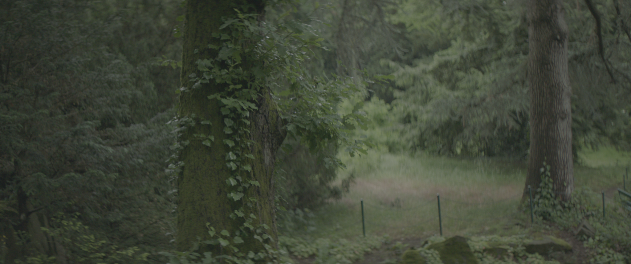 vlcsnap-2019-07-21-14h03m27s996.png