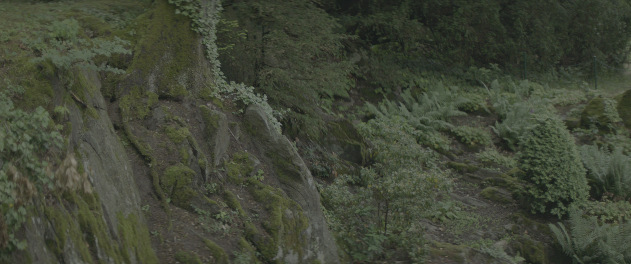 vlcsnap-2019-07-21-14h03m33s017.png