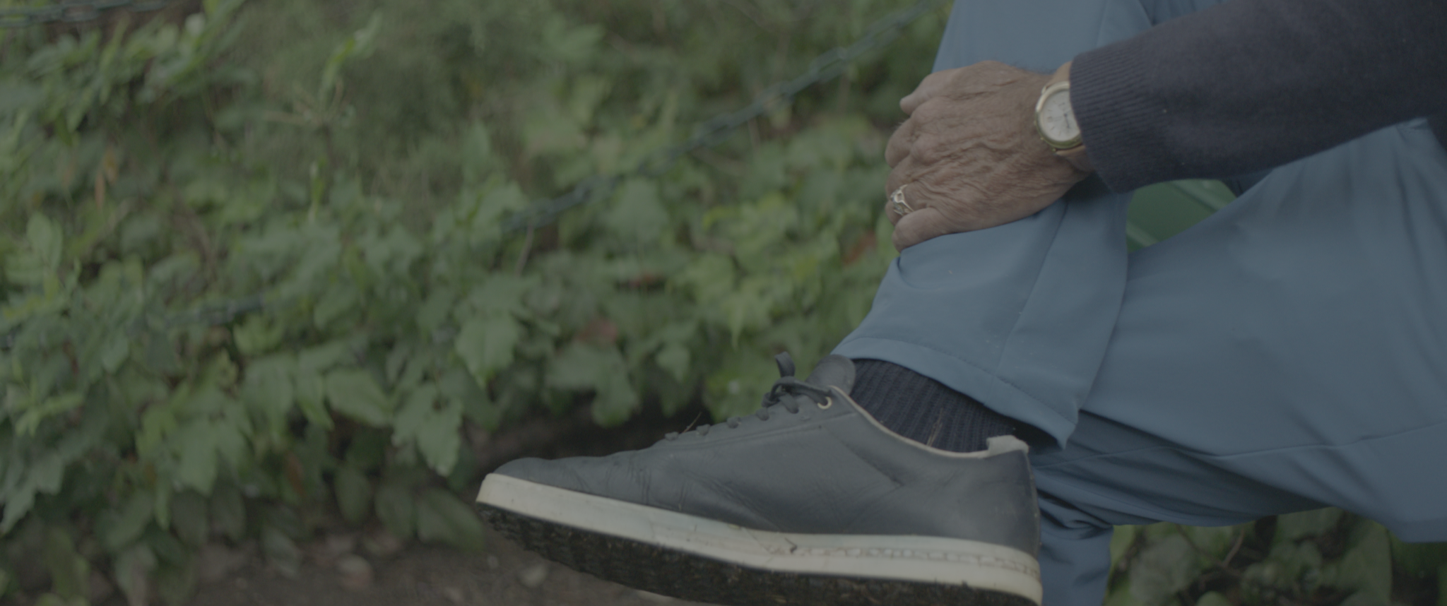 vlcsnap-2019-07-21-14h05m01s477.png