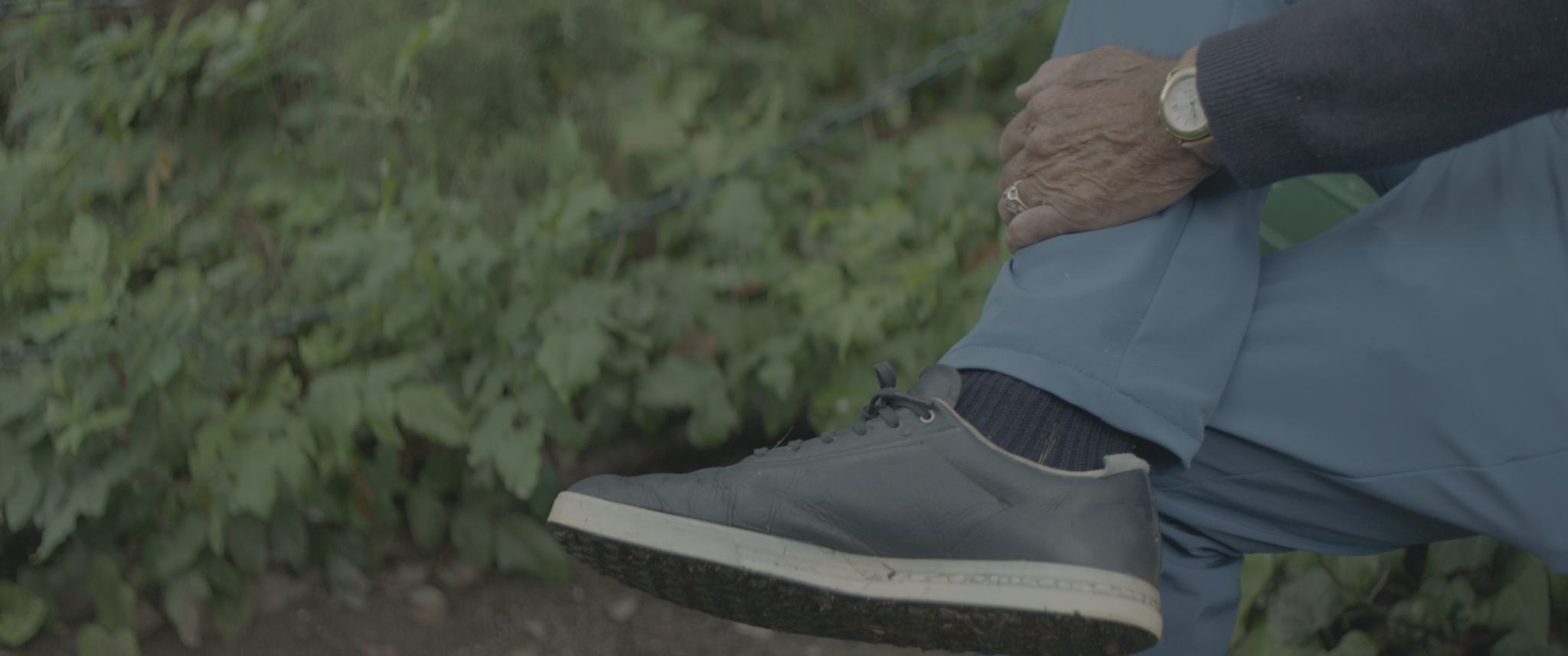 vlcsnap-2019-07-21-14h05m04s440.png