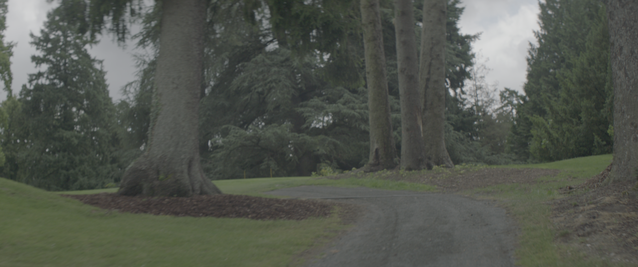 vlcsnap-2019-07-21-14h06m00s968.png