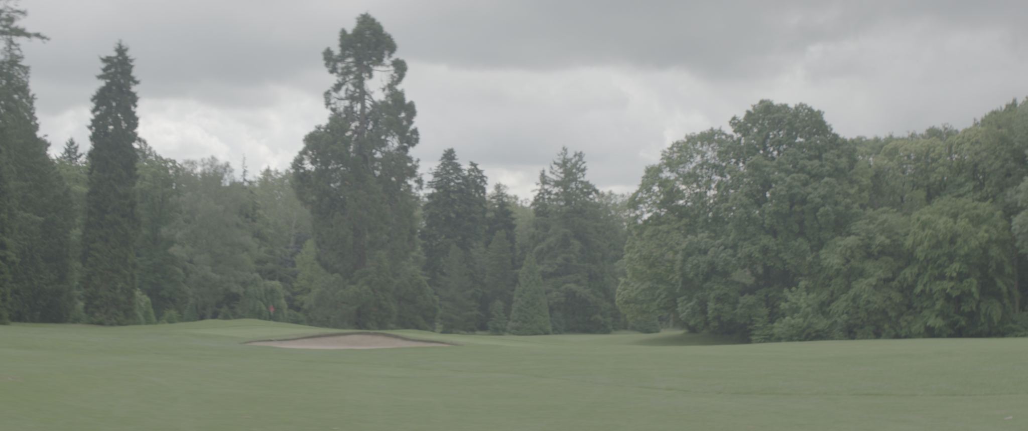 vlcsnap-2019-07-21-14h06m19s147.png