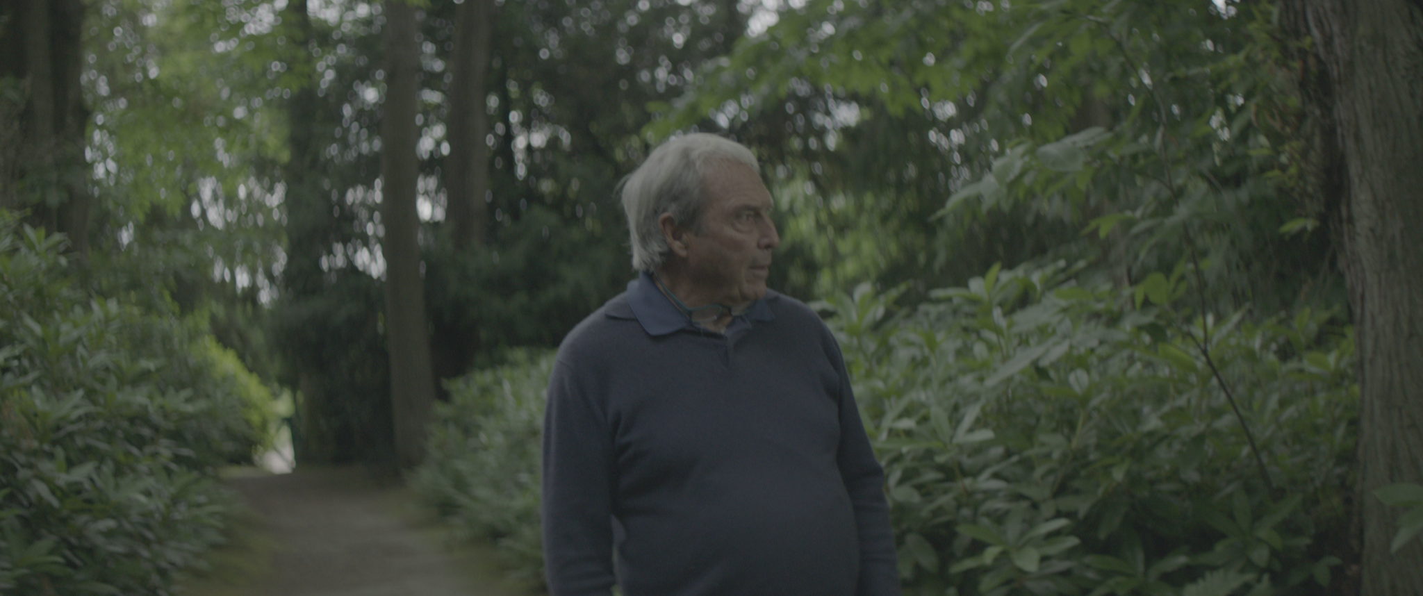 vlcsnap-2019-07-21-14h07m00s033.png