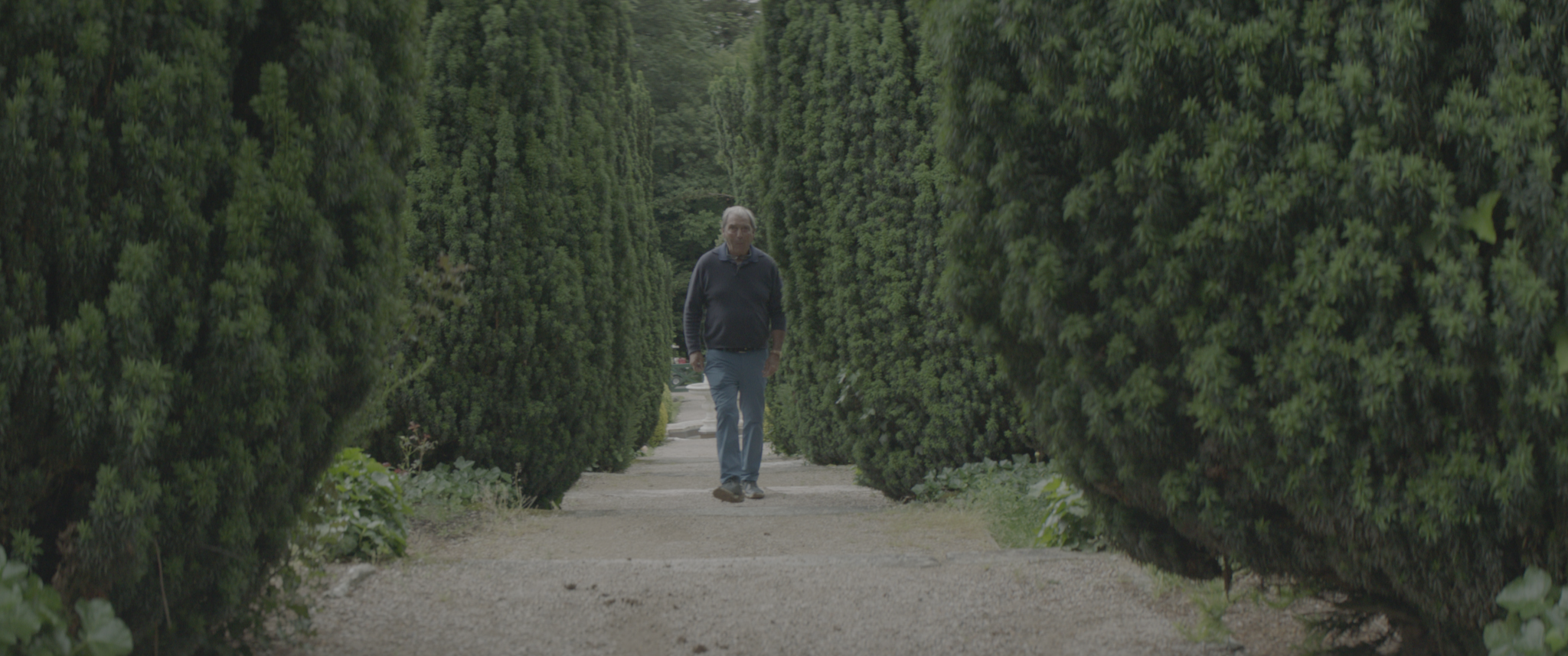 vlcsnap-2019-07-21-14h08m06s224.png