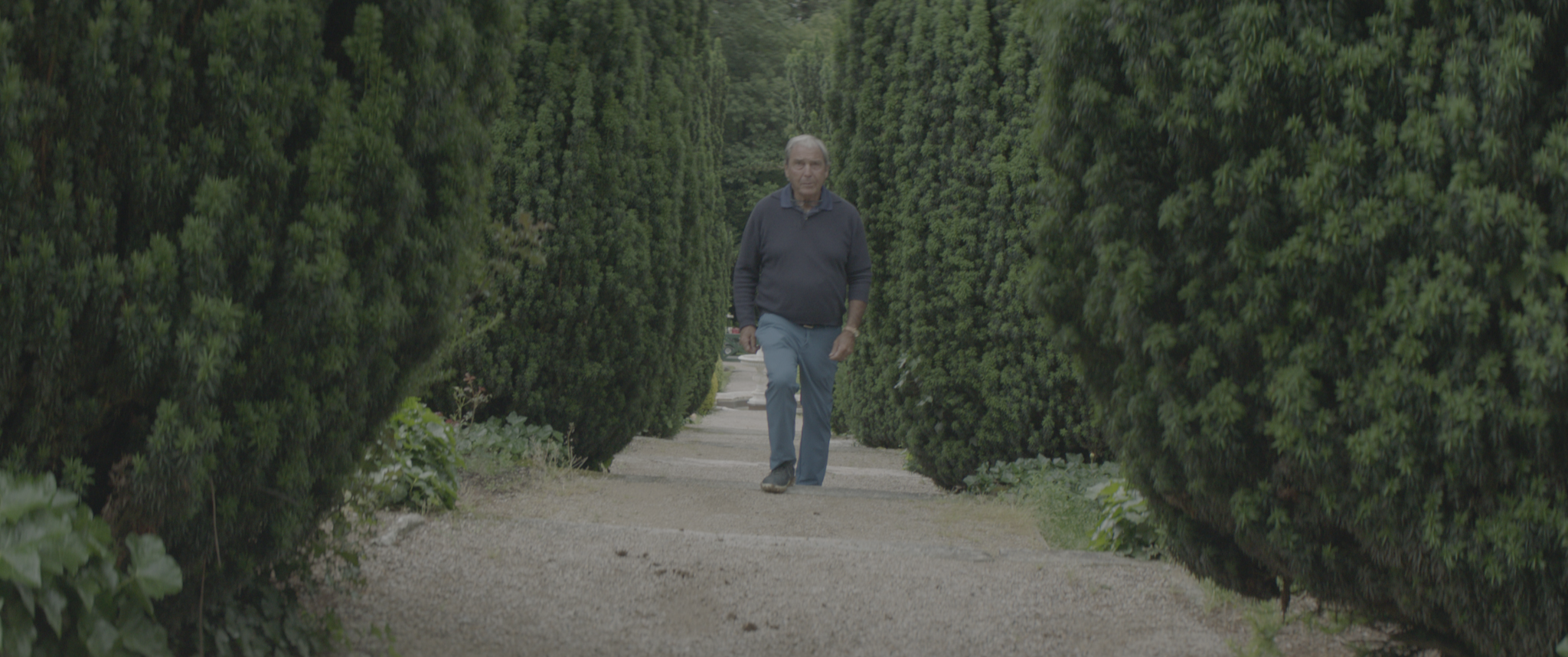 vlcsnap-2019-07-21-14h08m13s027.png