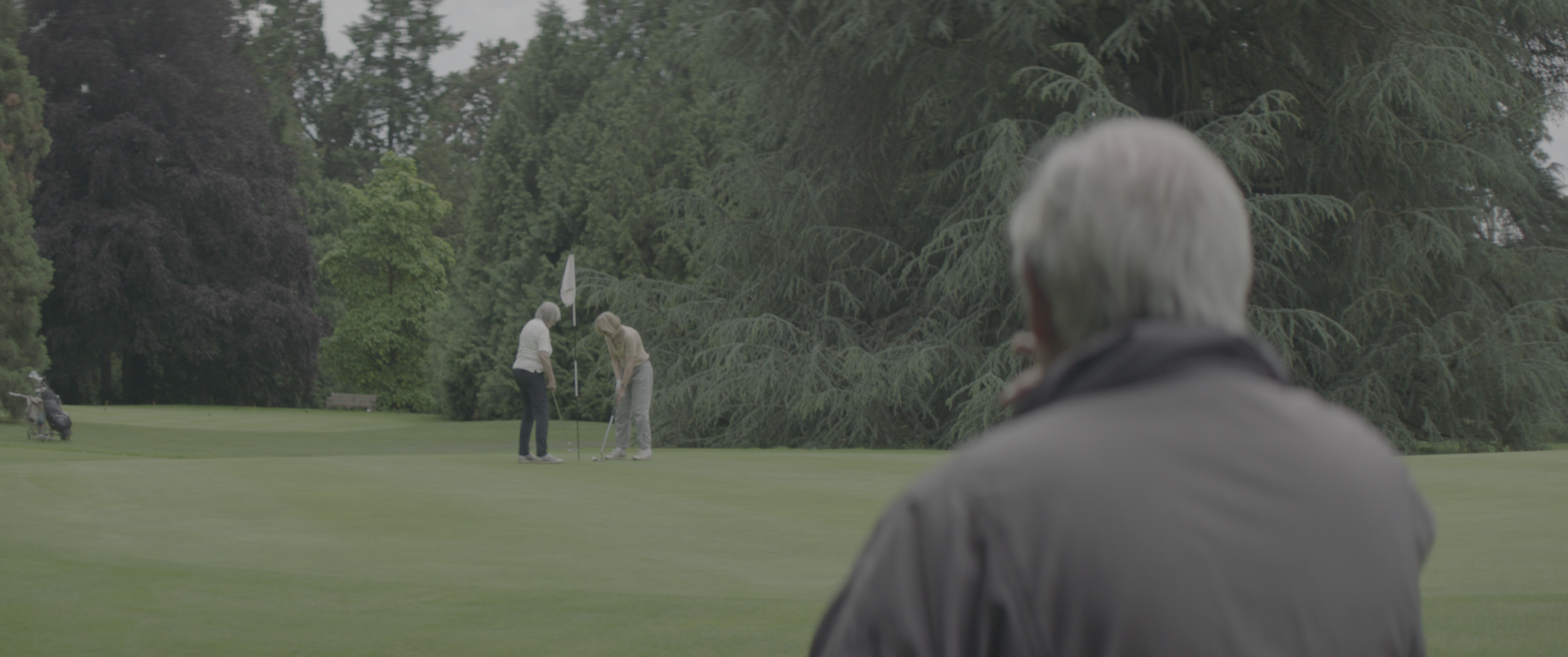 vlcsnap-2019-07-21-14h13m39s420.png