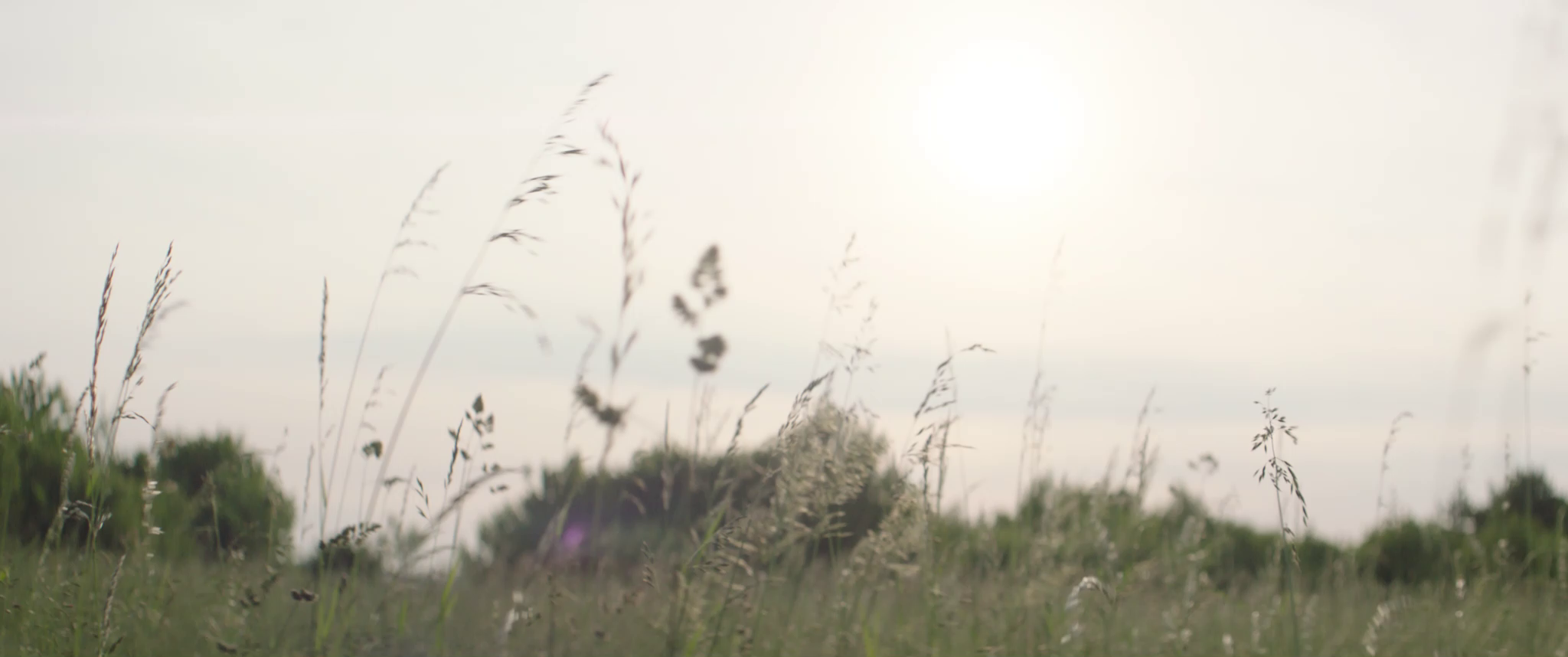 vlcsnap-2019-07-21-14h28m33s701.png