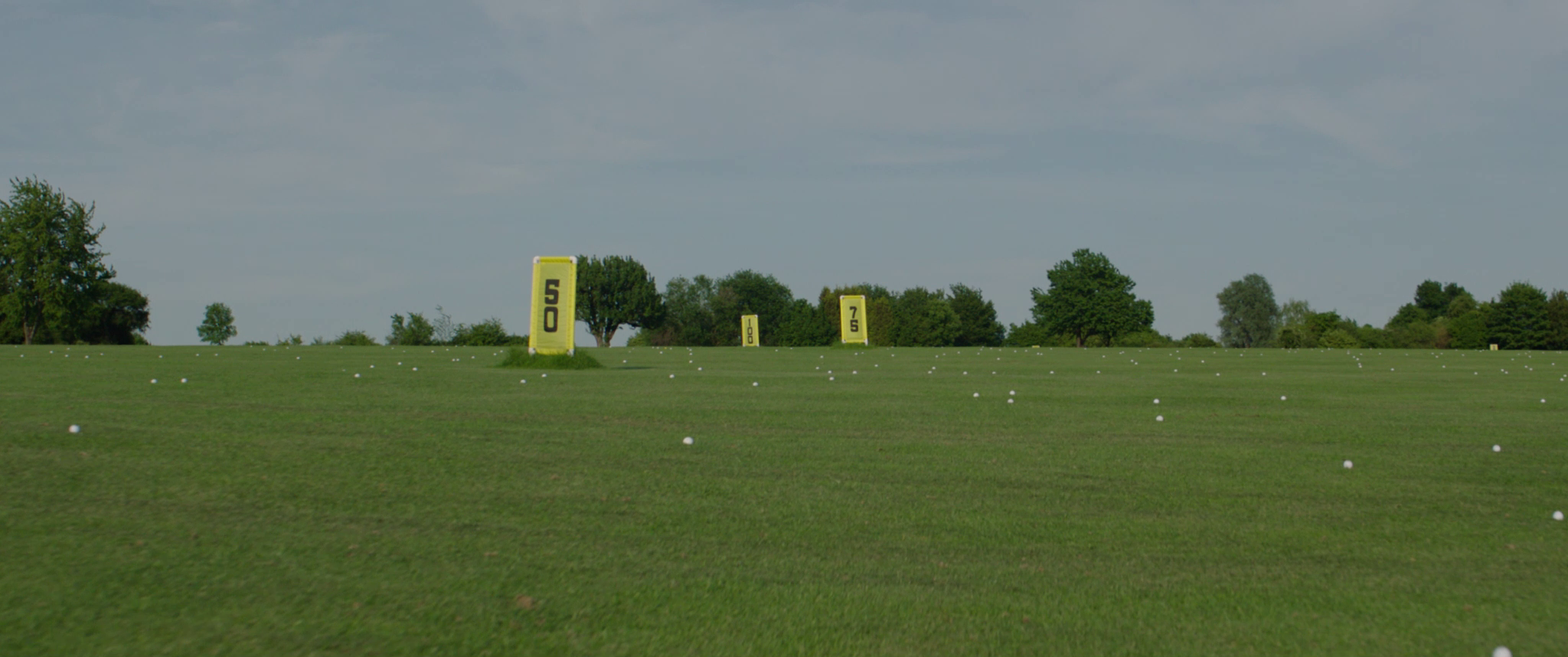 vlcsnap-2019-07-21-14h28m22s523.png