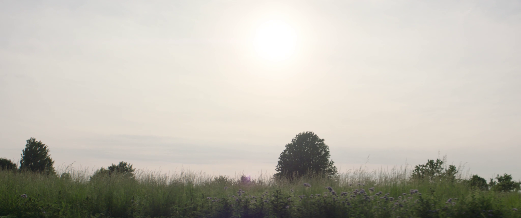 vlcsnap-2019-07-21-14h28m38s377.png