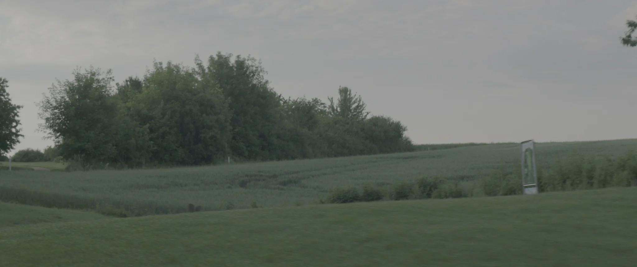 vlcsnap-2019-07-25-11h20m28s136.jpg