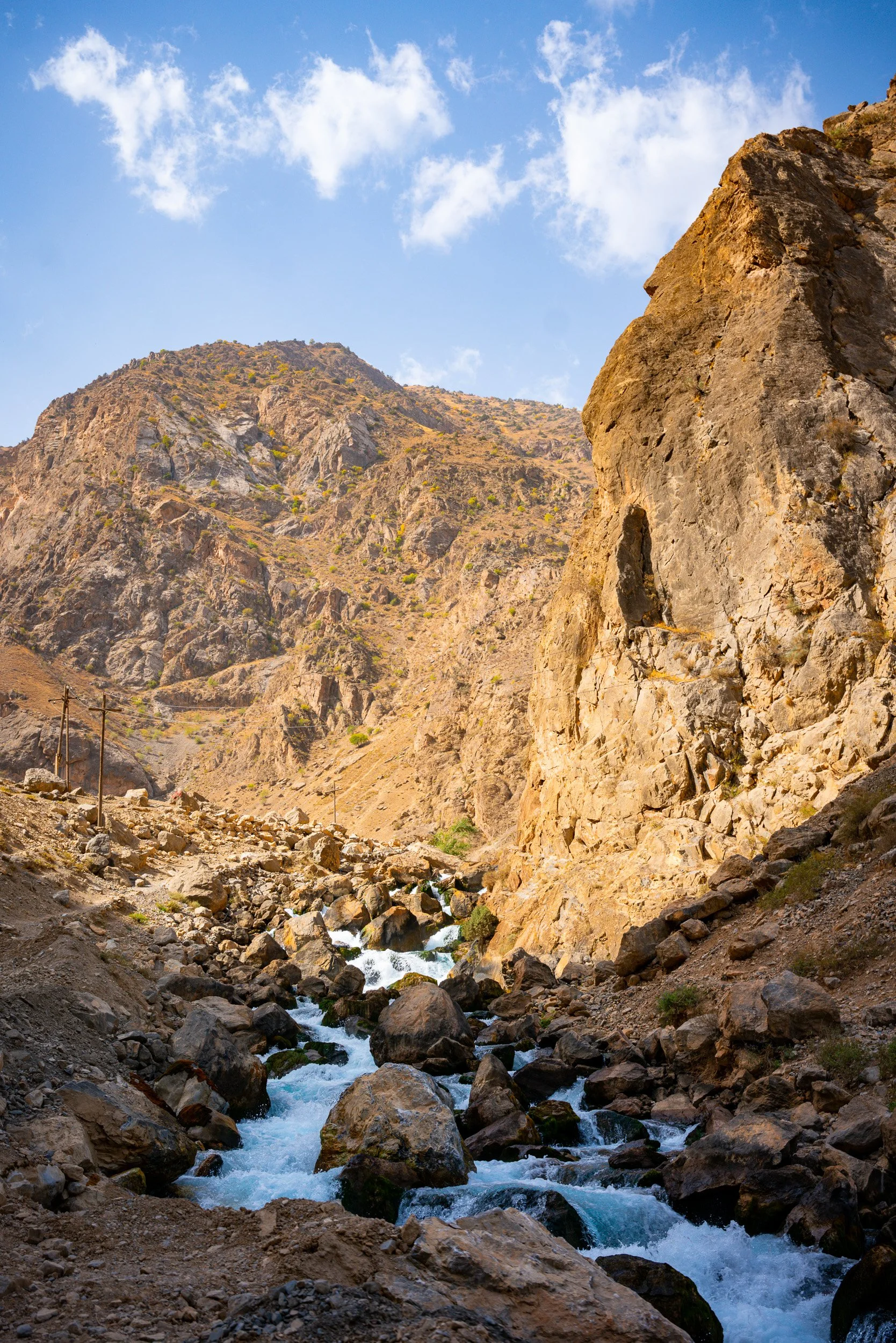 _DSC5619.jpg