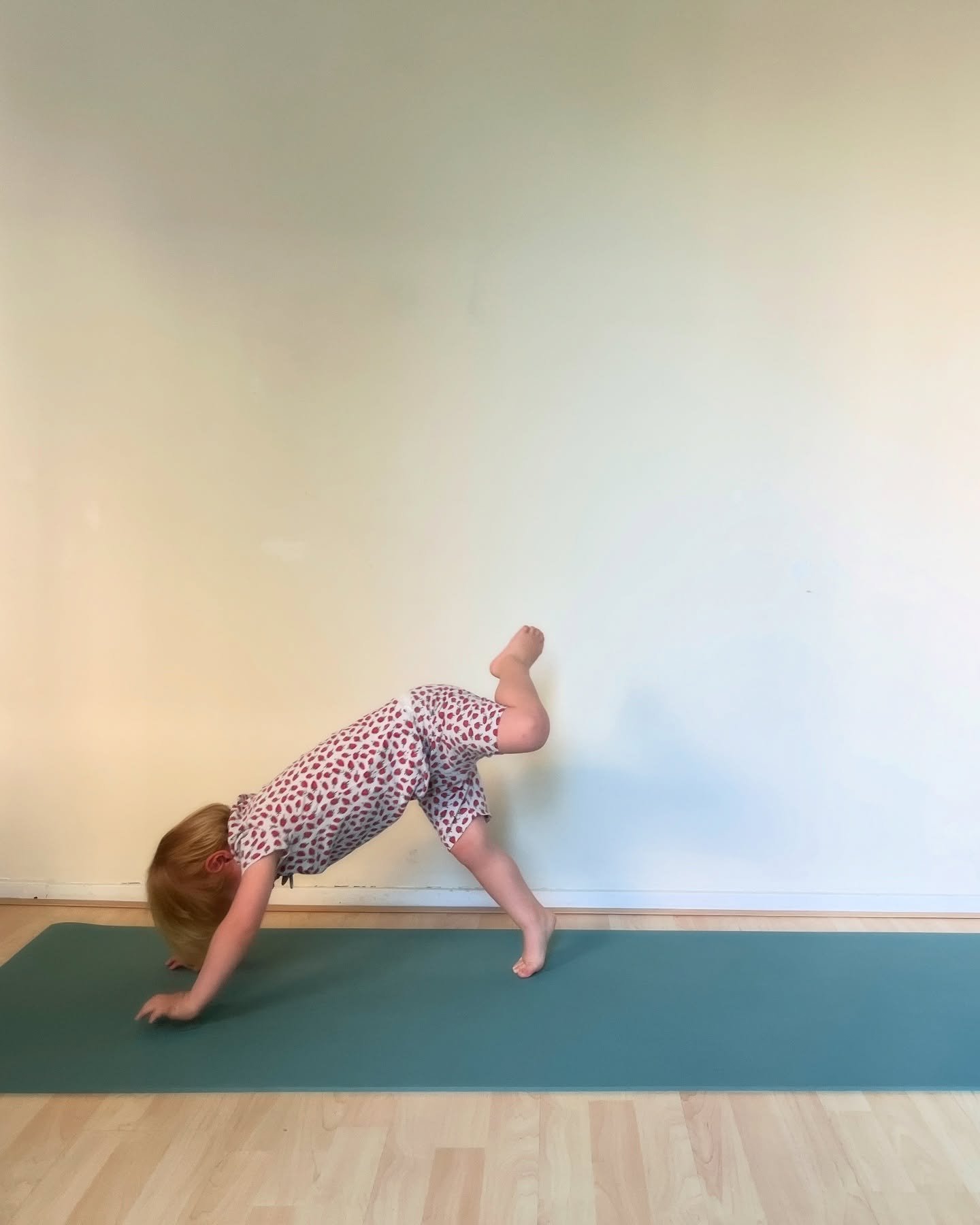 I was setting up for my online yoga &amp; ELDOA class tonight and then Oscar came in- such a natural 😍

My online classes are weekly on Tuesdays at 8pm (CEST) and bi-weekly on Mondays at 2pm (CEST), if you join me sometime, you might become just as 