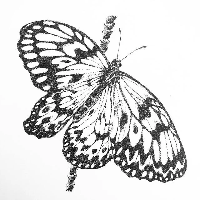 Isolation art IX: Different view of the same butterfly. #isolationart #toronto #ink #inkdrawing