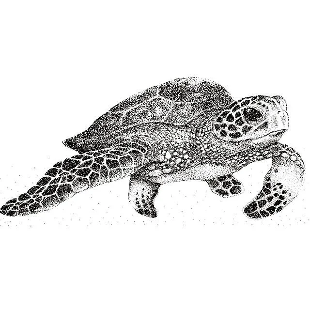 Isolation art X: Someone commissioned a turtle. I made a turtle. #isolationart #dots #inkdrawing #ink #toronto