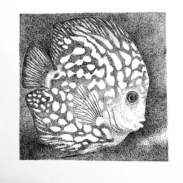 Isolation art XI: Lost soul swimming in a fish bowl. #isolationart #ink #inkdrawing #toronto