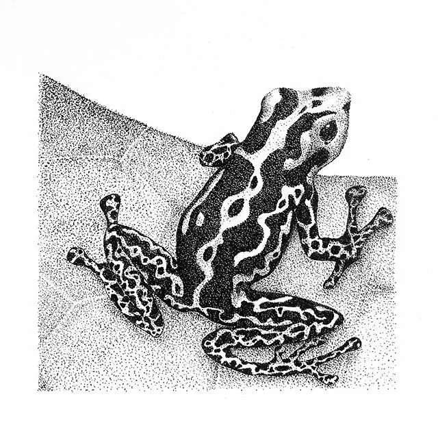 Isolation art XIII: Frog on leaf. #isolationart #inkdrawing #toronto