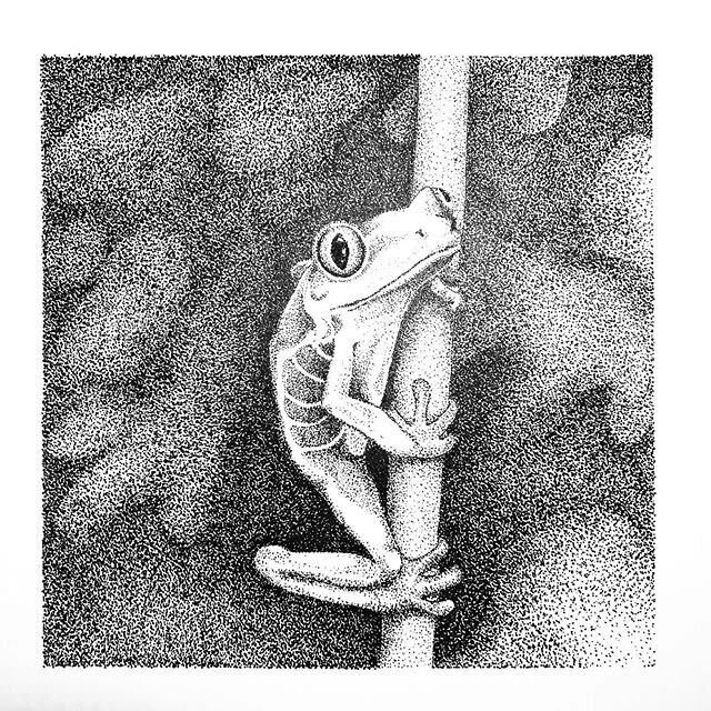 Isolation art XV: frog on stem. #isolationart #inkdrawing #toronto