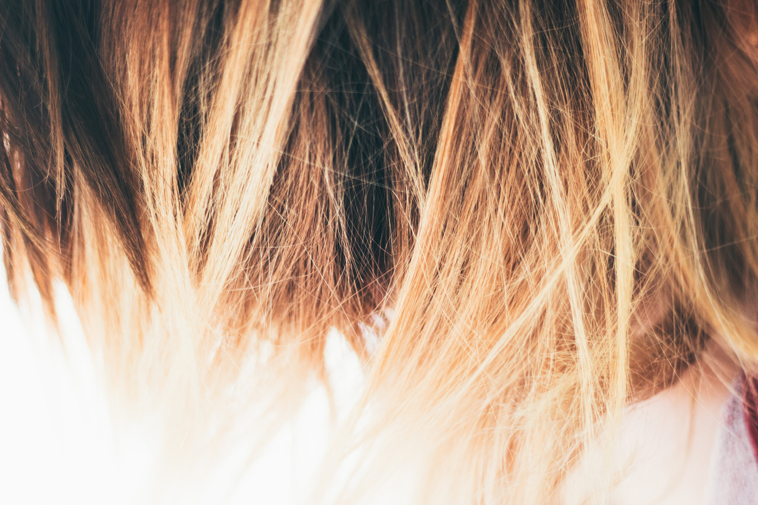 Don't Fret the Frizz | Damaged Summer Hair Products — Mancuso Salon & Spa