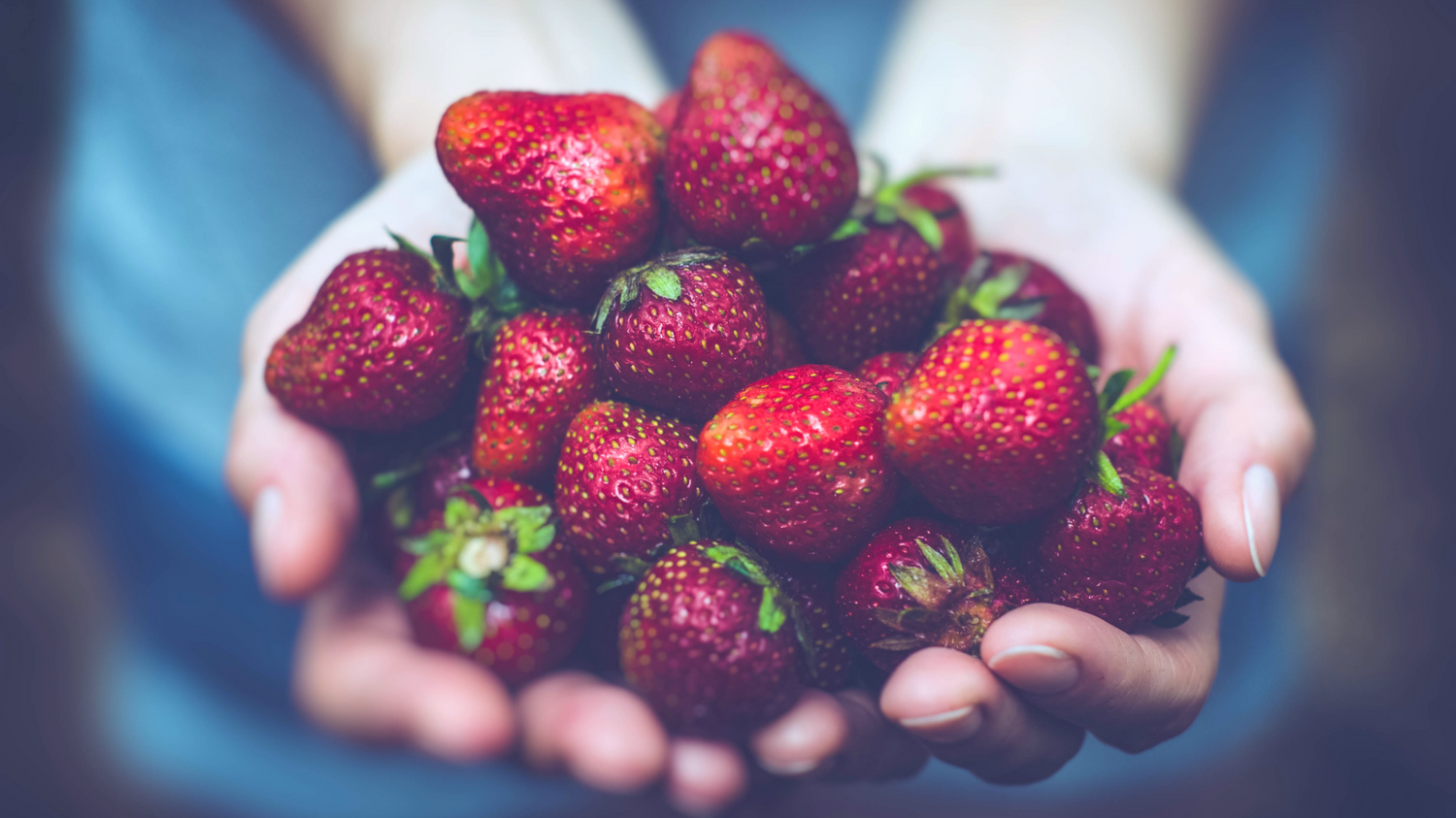 Photo by Artur Rutkowski on Unsplash