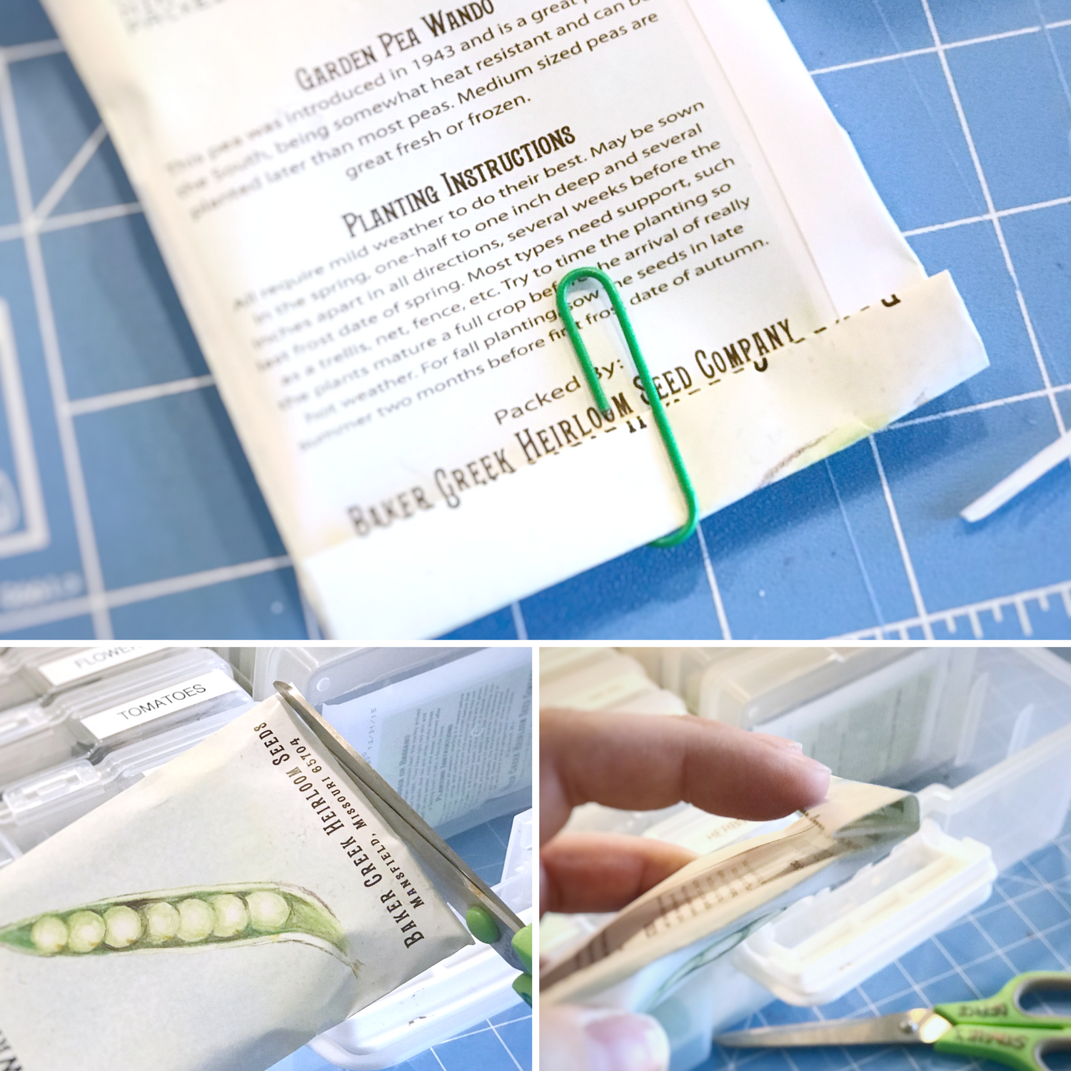 how to store seeds.png