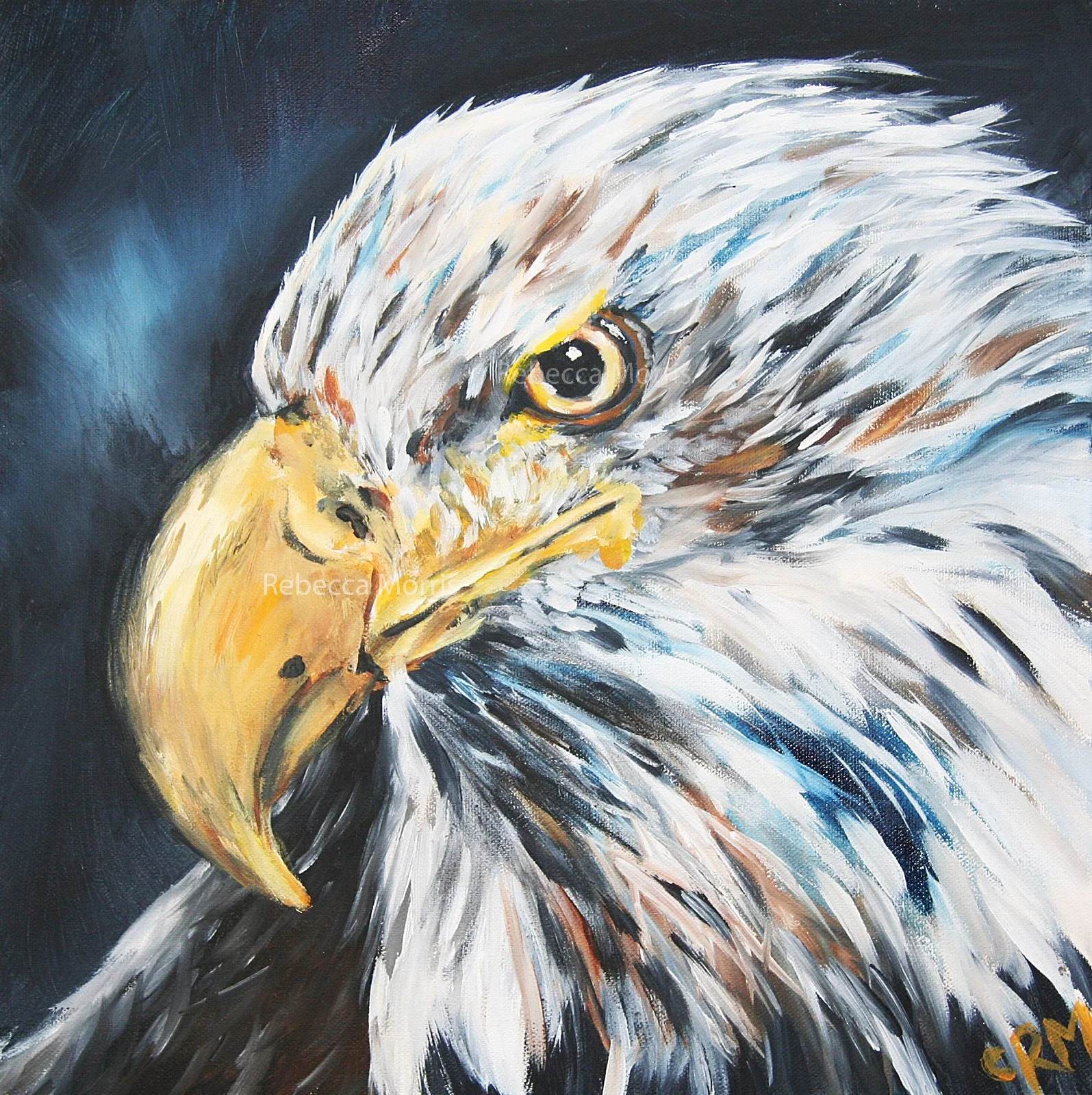 eagle+face.jpg