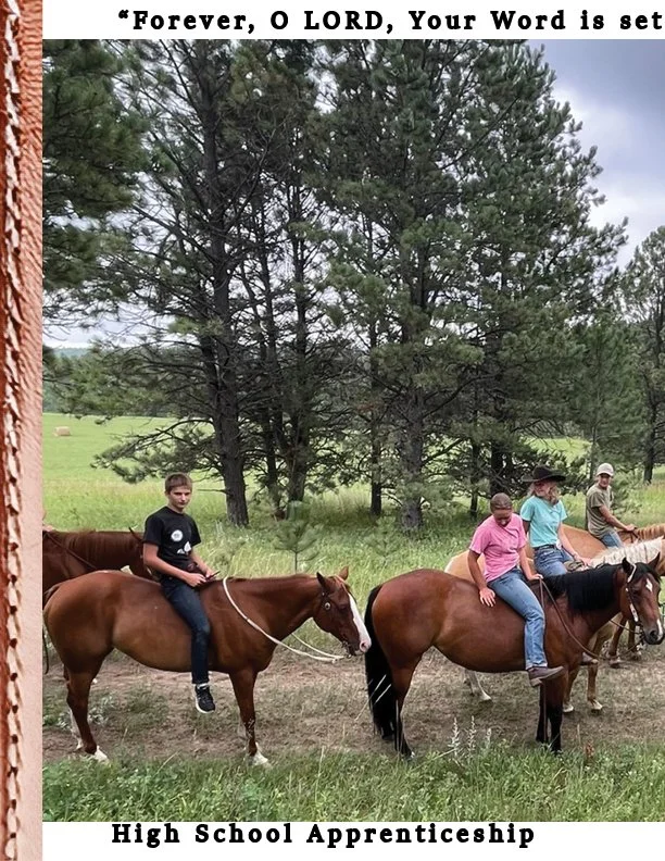 Summer and Fall  2025 newsletter8.jpg