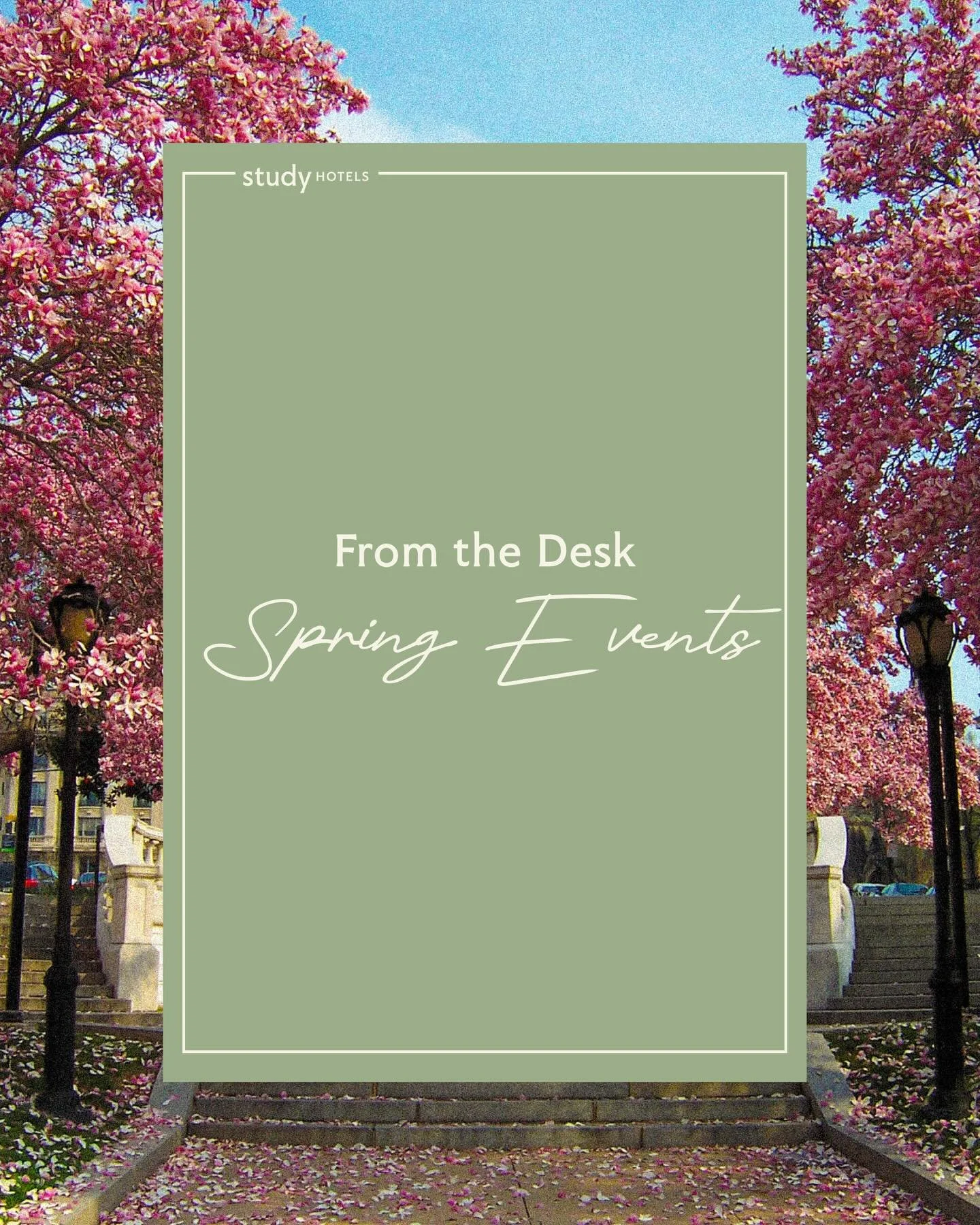 Spring pushes through!

Longer days. Open windows. Reasons to get out again.

The calendar&rsquo;s filling fast&mdash;Restaurant Weeks, games, screenings, performances, and everything in bloom on and around campus this season.