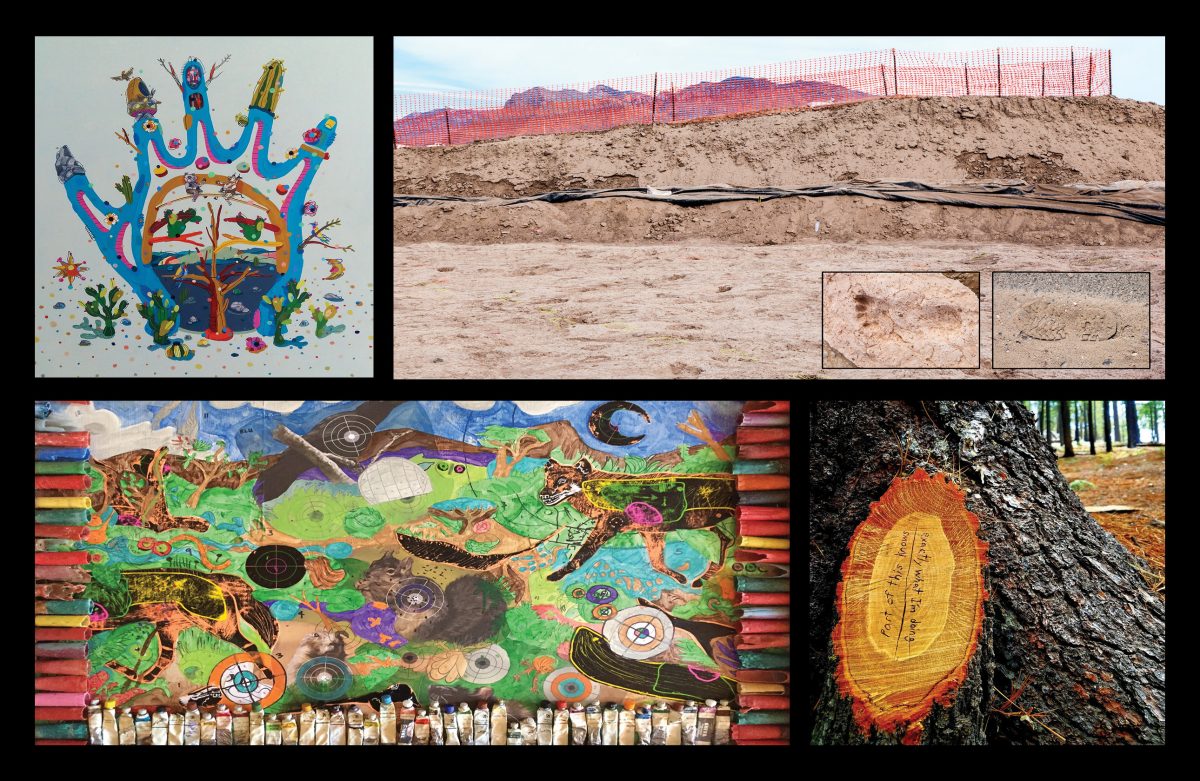 Tucson AZ, Tohono Chul Park