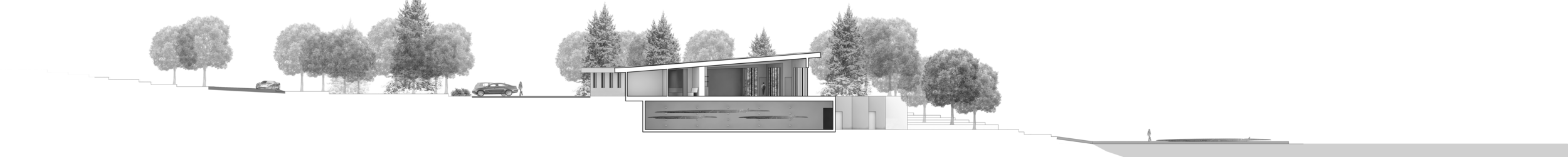 Cross Section.png