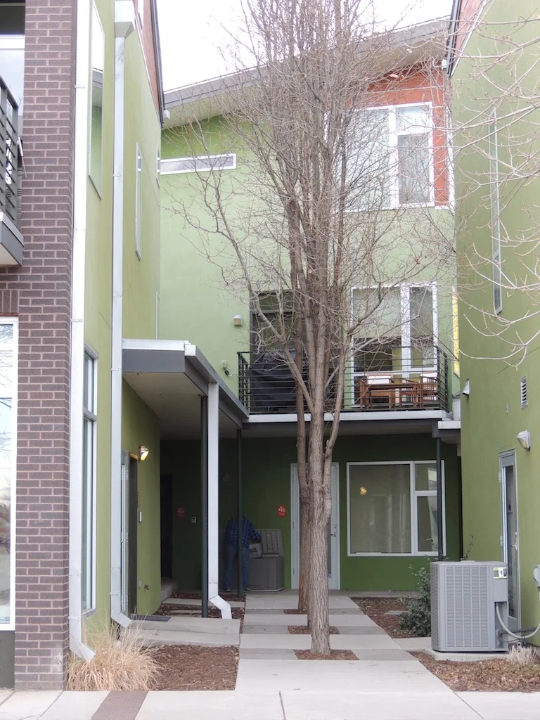 Trees in alley.jpg